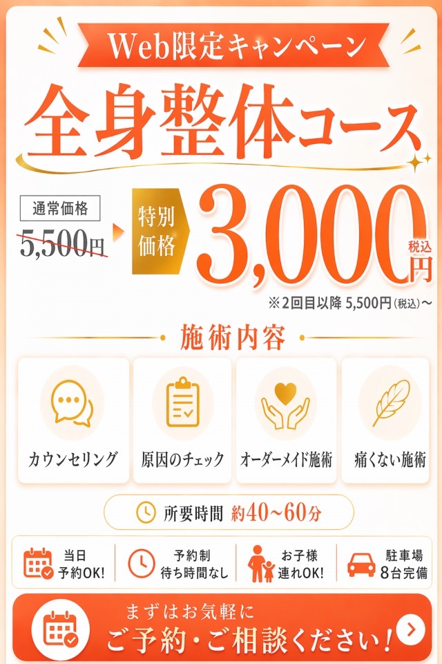 全身整体コースオファー画像、特別価格3,000円