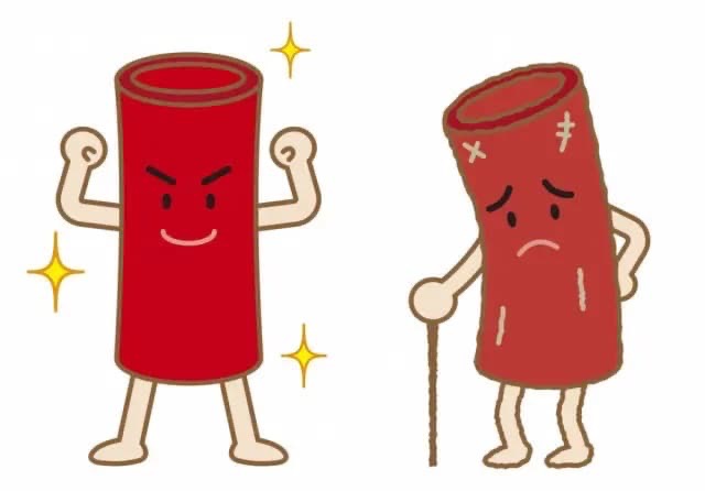 耳鳴りの原因ともなる血液の循環不良を表した画像